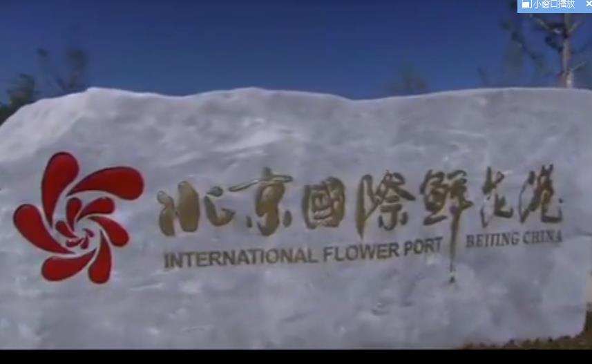 北京順義宣傳片——讓城市走向世界