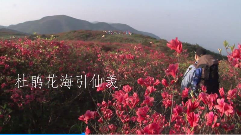 遂昌城市形象宣傳片《聽見遂昌》，書院淺草悠悠晃，十番之聲舞白裙，吾輩精神重抖擻，家國天下遂昌