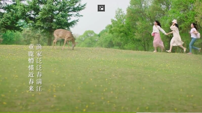 黑龍江春季旅游形象宣傳片《暢爽龍江》，美不勝收的寶藏旅游地，今春流行色就藏在黑龍江的春日里
