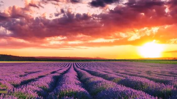 最美鄉(xiāng)村企業(yè)品牌宣傳片，將藝術鄉(xiāng)村的理念，作為鄉(xiāng)村振興的靈魂，用山水林田湖的綜合修復，找回生態(tài)之美，用藝術致敬鄉(xiāng)愁