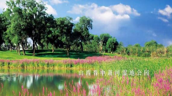 東方園林企業(yè)品牌宣傳片，用最美的作品，連接人與自然，我們用最美去反哺，去守護(hù)自然。