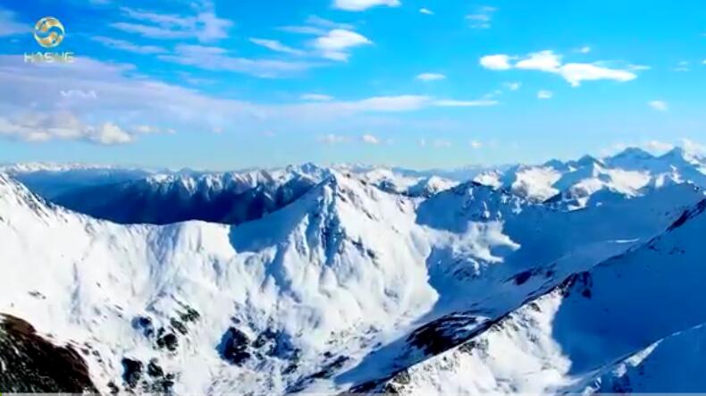 航星永志：靈動經(jīng)營，水之力道在商海閃耀