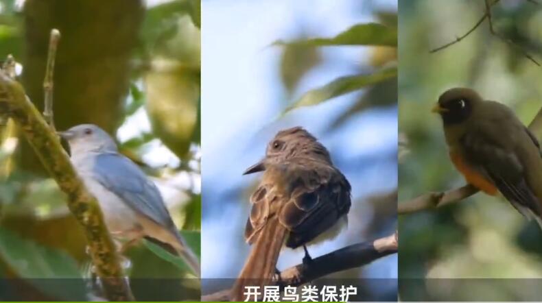 正谷Sustainable Coffee，用愛和熱情，開啟每一天