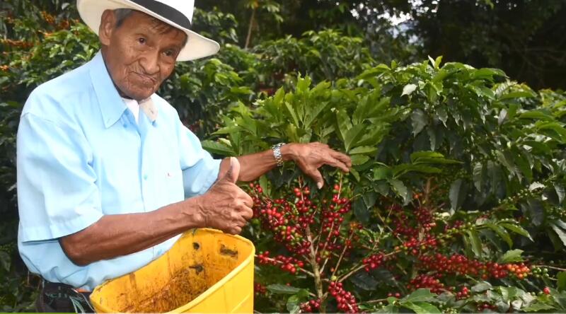 正谷，健康生活的引領(lǐng)者