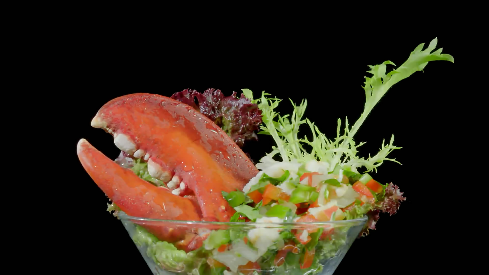 活動(dòng)樹(shù)最美吃貨節(jié)宣傳片-在美食的世界暢游，有你想要的味道